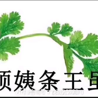 潮汕人
