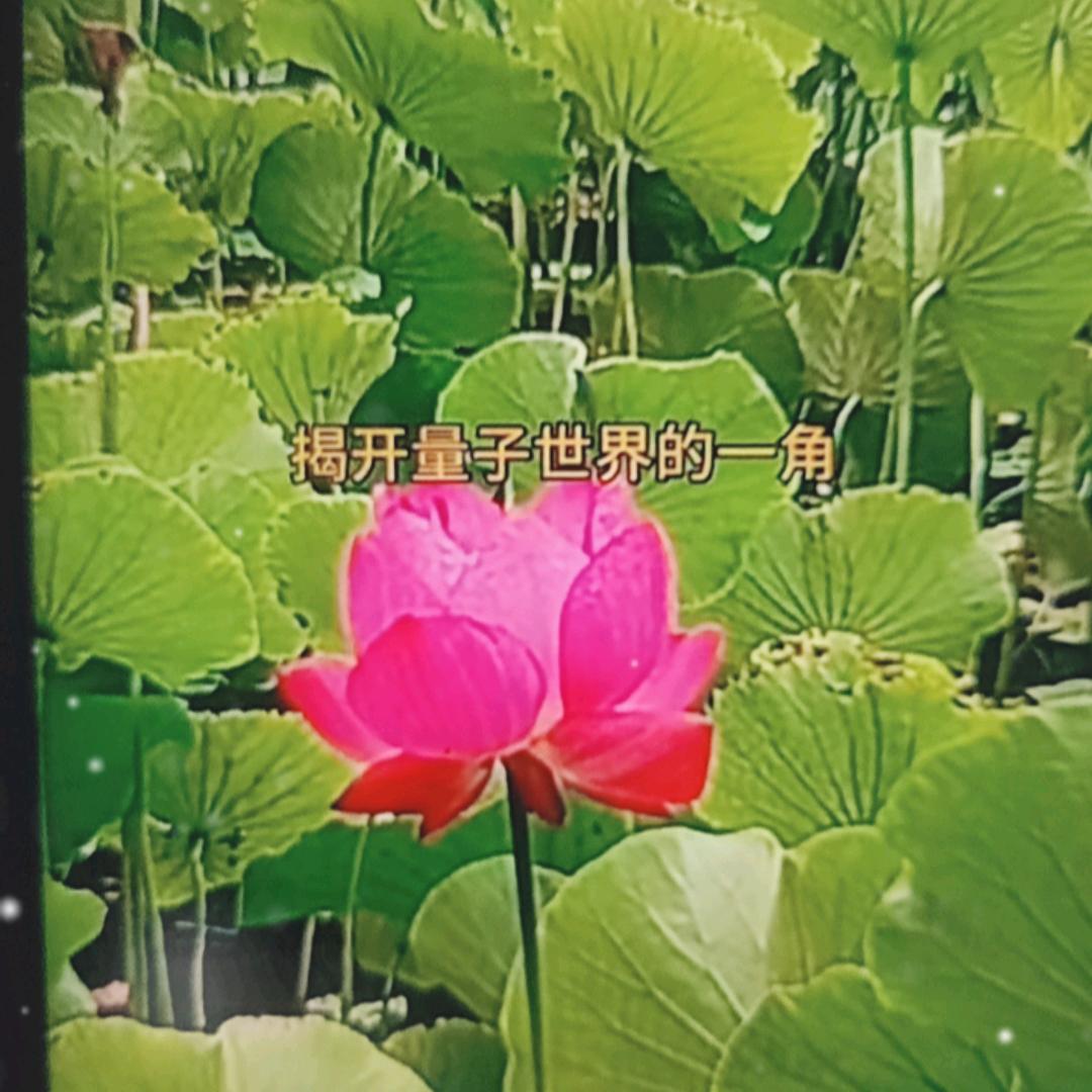 有缘回家【悟回家】珍惜当下