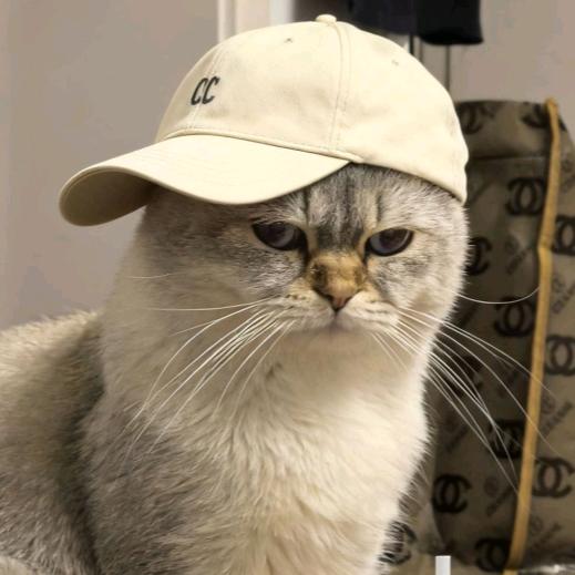 搞💰