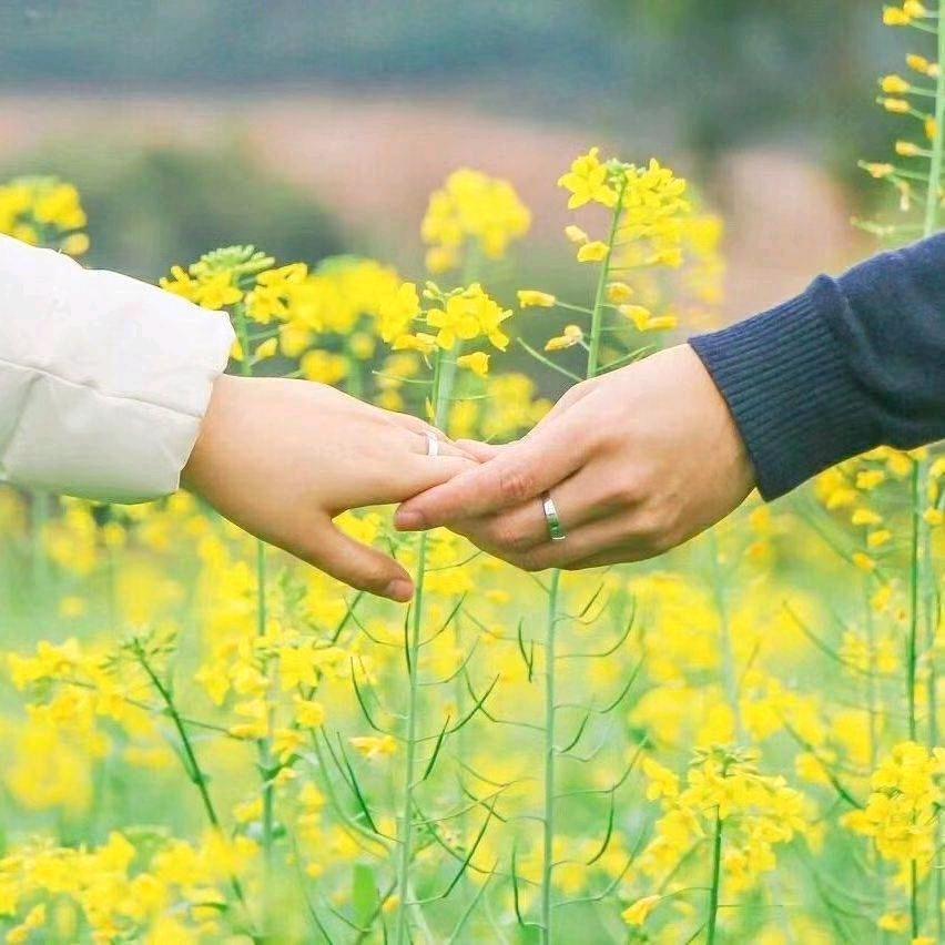 🥀ᰰᰮ笑而᭄不⃨语ꦿ᪲ꩵꦿ