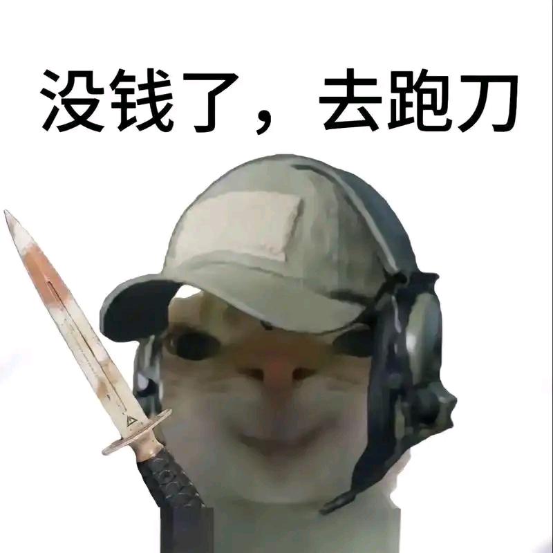 菜跑跑（三角洲行动）