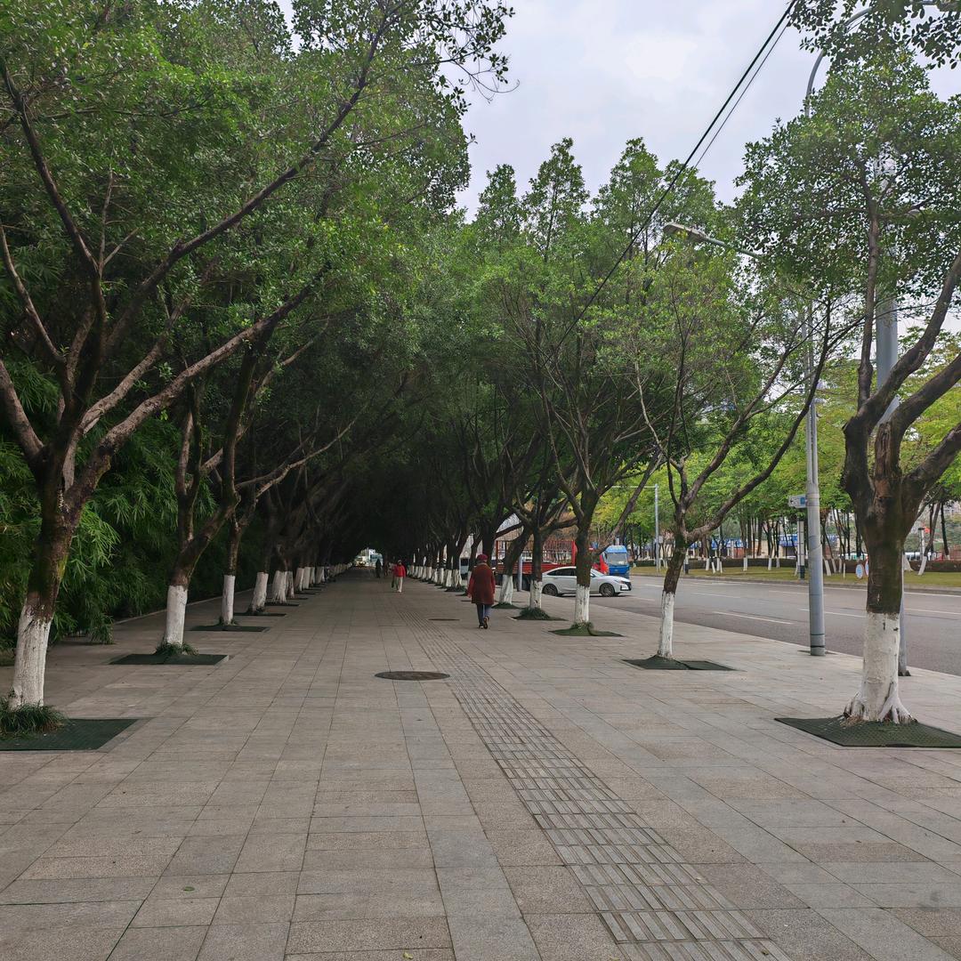 顺其自然