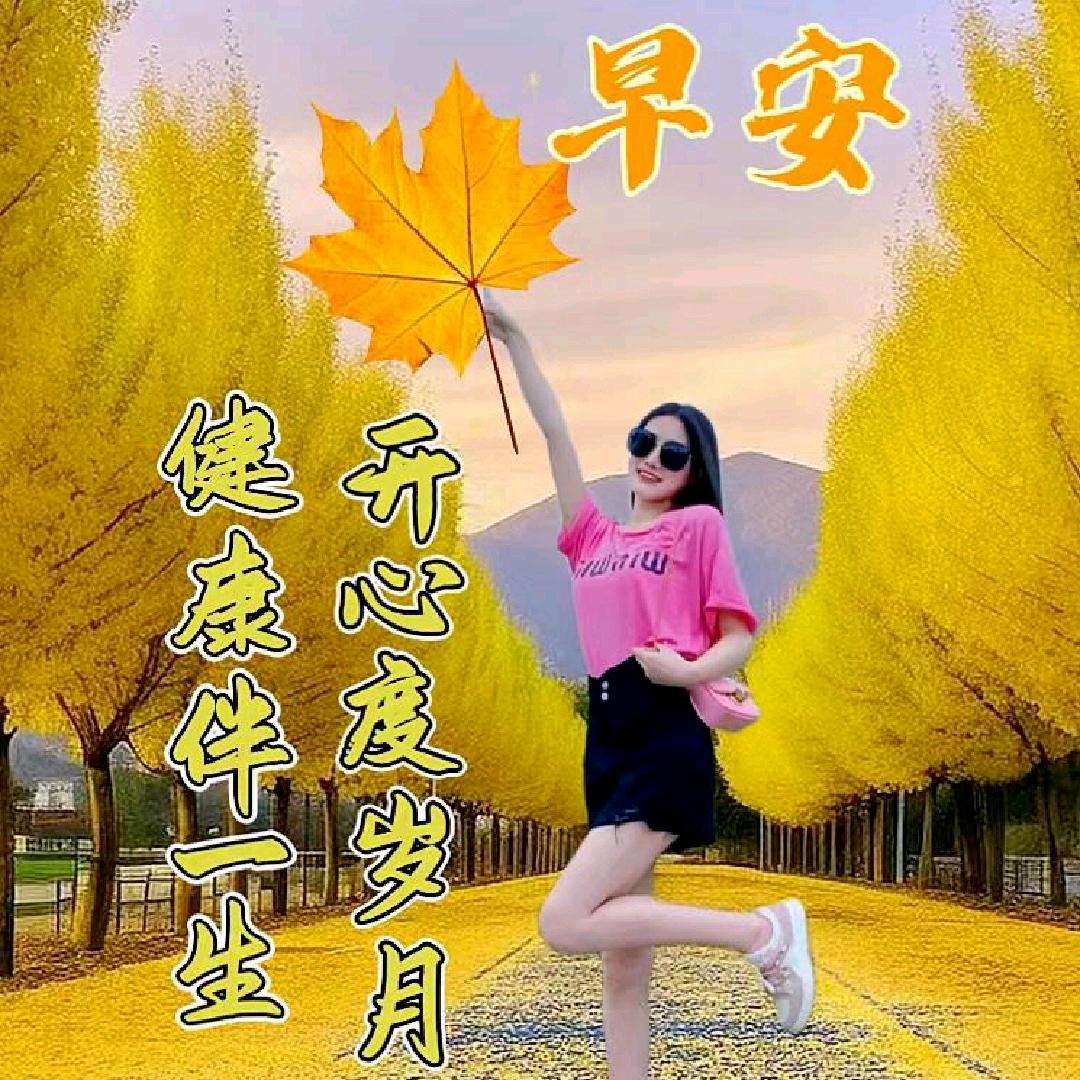 通讯录