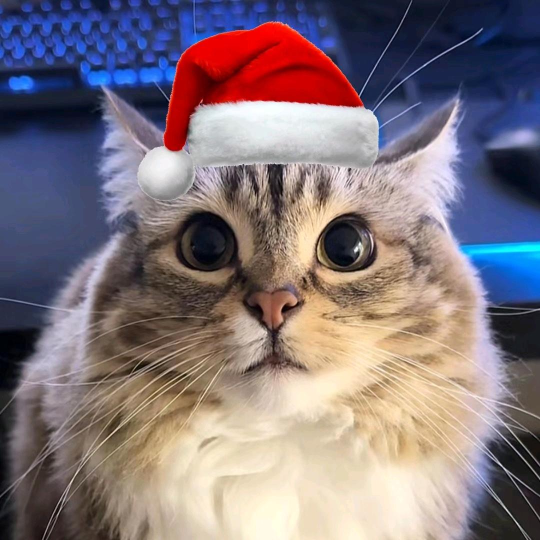 AAA卡车司机巴巴博一师傅