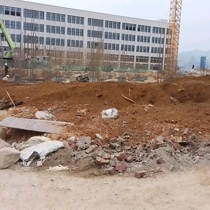 杨辛酉