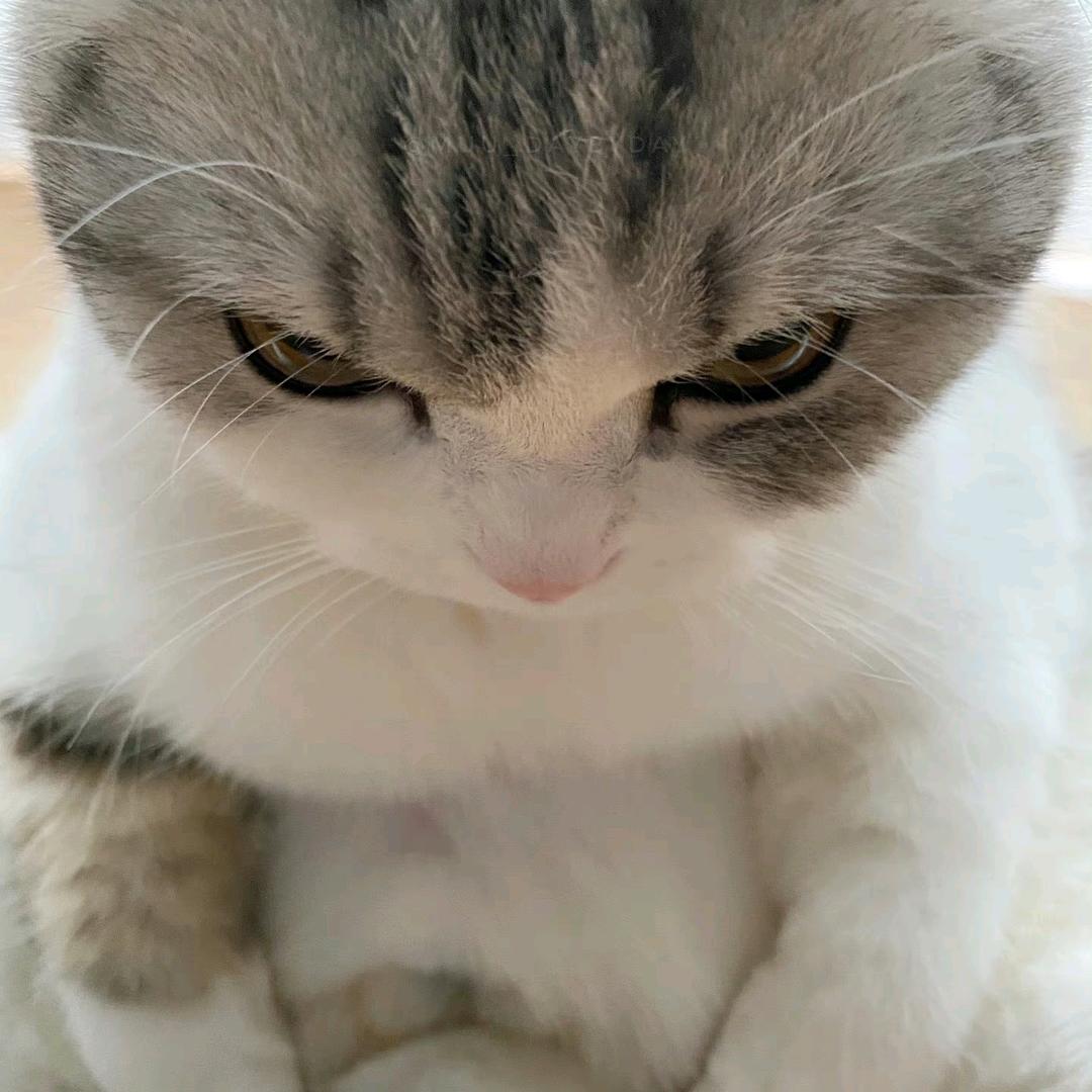 ⃠ ゙゙゙゙゙゙゙゙゙゙゙゙该喝水了