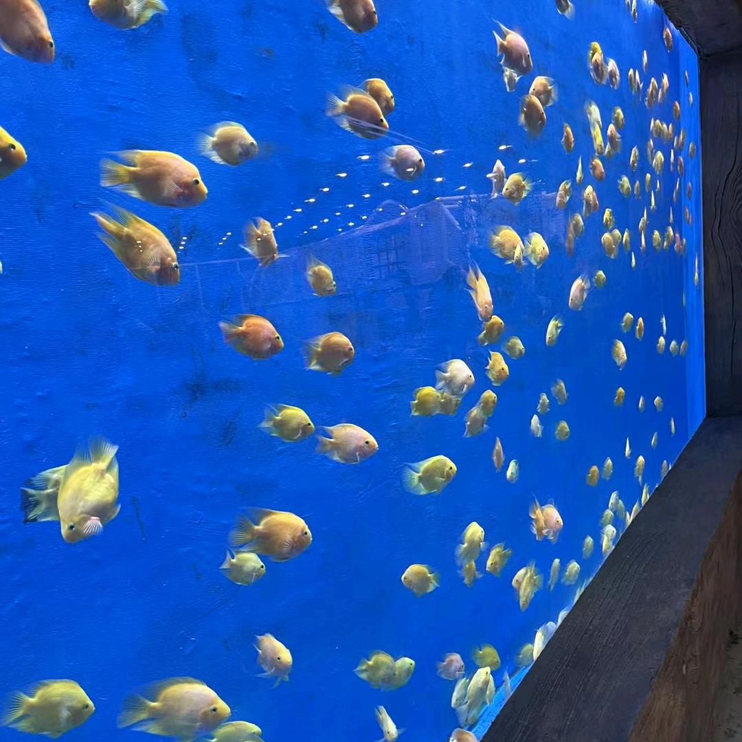 殇（｡ò ∀ ó｡）