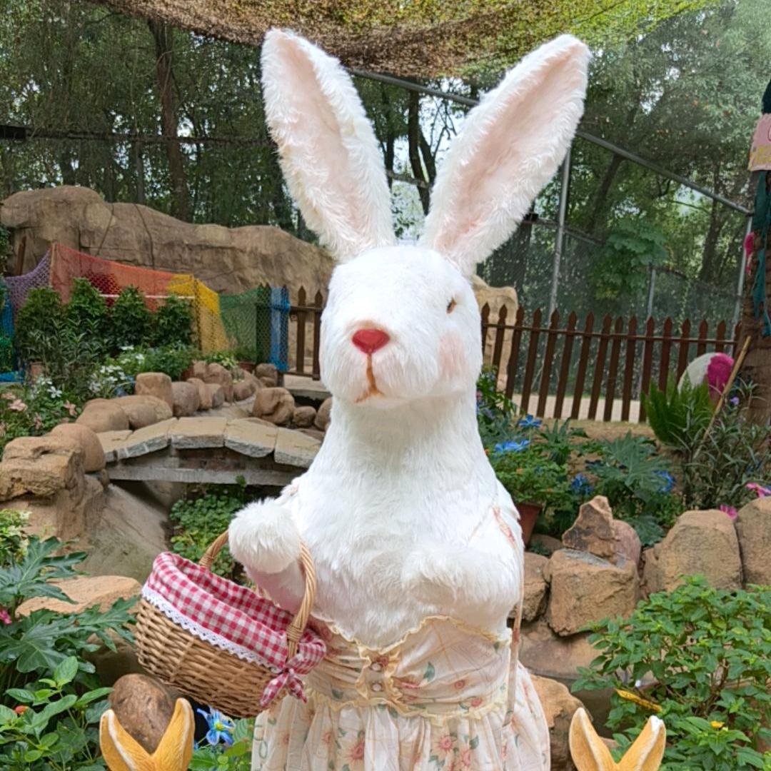 ᝰ᭄💔抢救失败ᝰ᭄💔