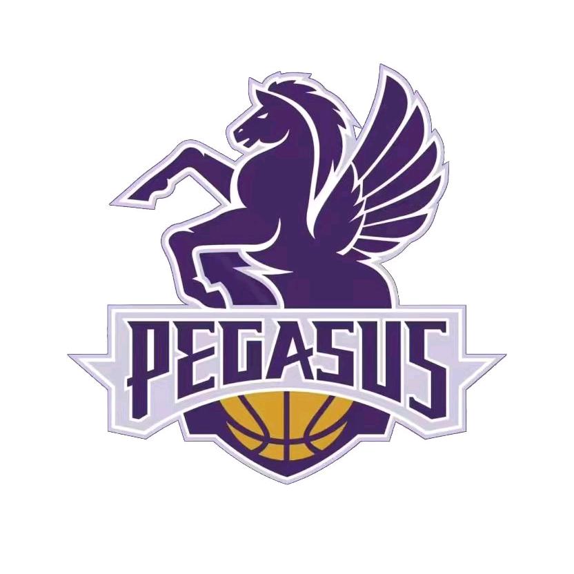 深泽县悦翔体育