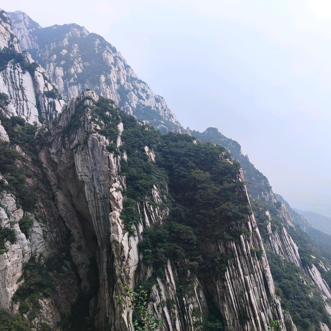 全国土地查询(宅基地/厂房)