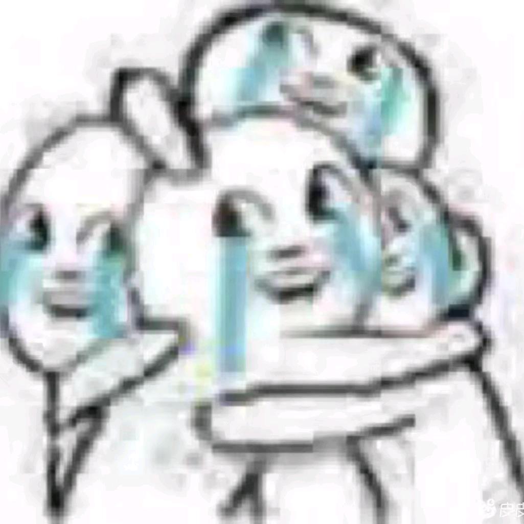 去码头整点海鸥