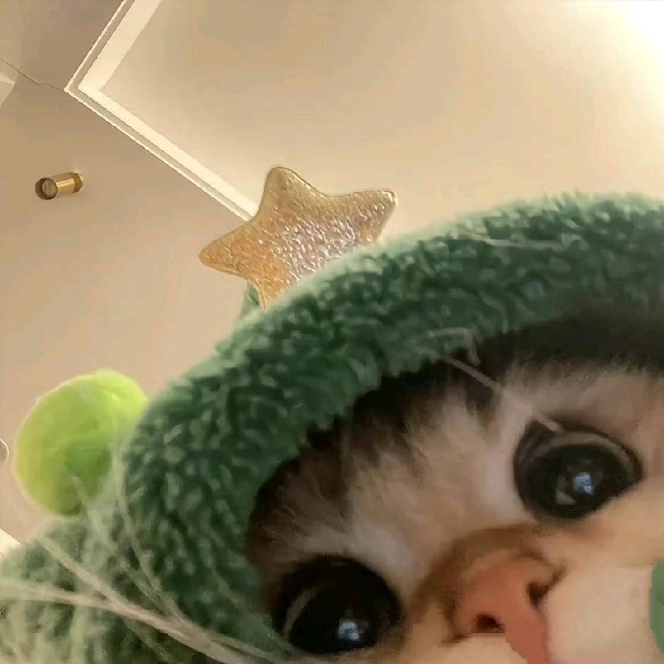 讨厌榴莲啦