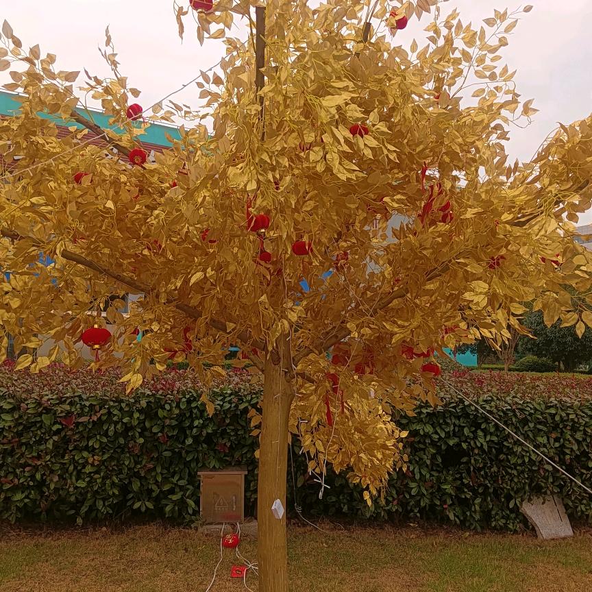 陈开栋