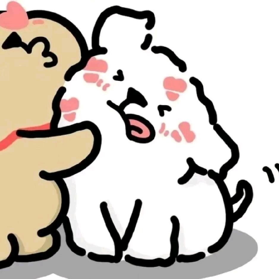 zy小艾