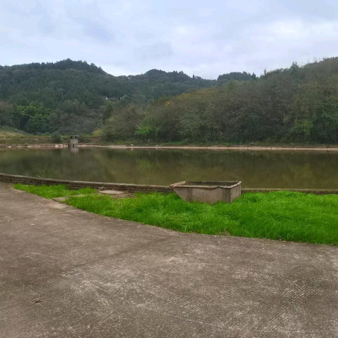 幸运来了
