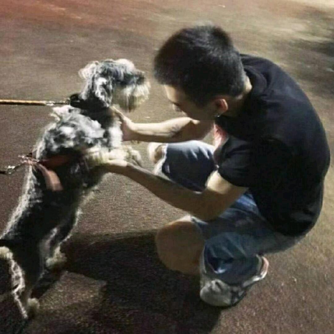 林小北