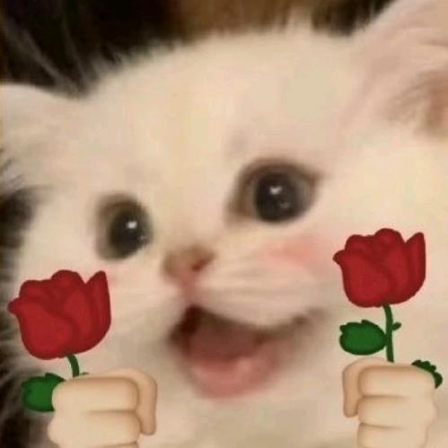 安溪县西坪镇王滨发文具经营部