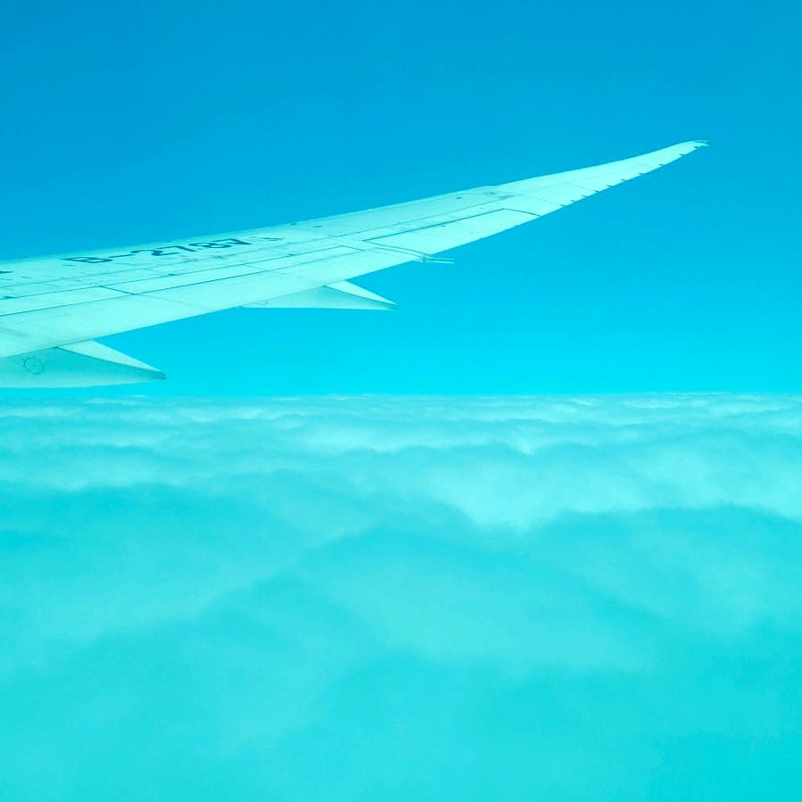 一根黄鹤楼，从此无忧愁