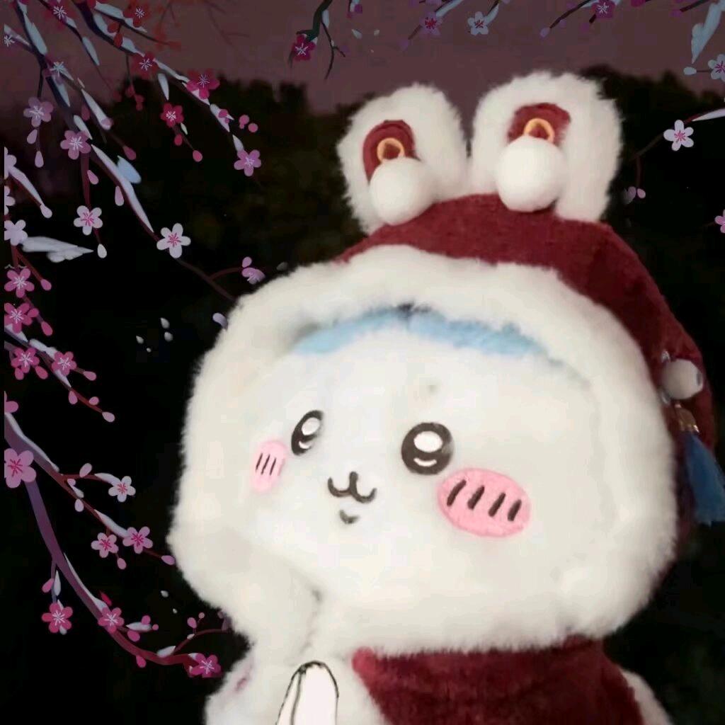 小徐好运帘帘