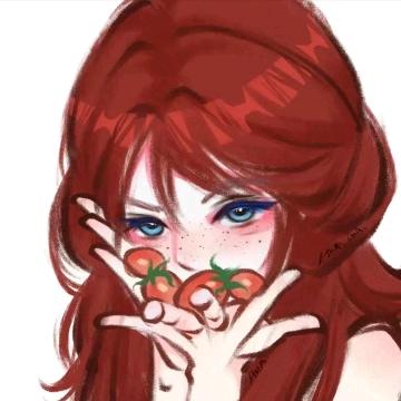 蓝花楹