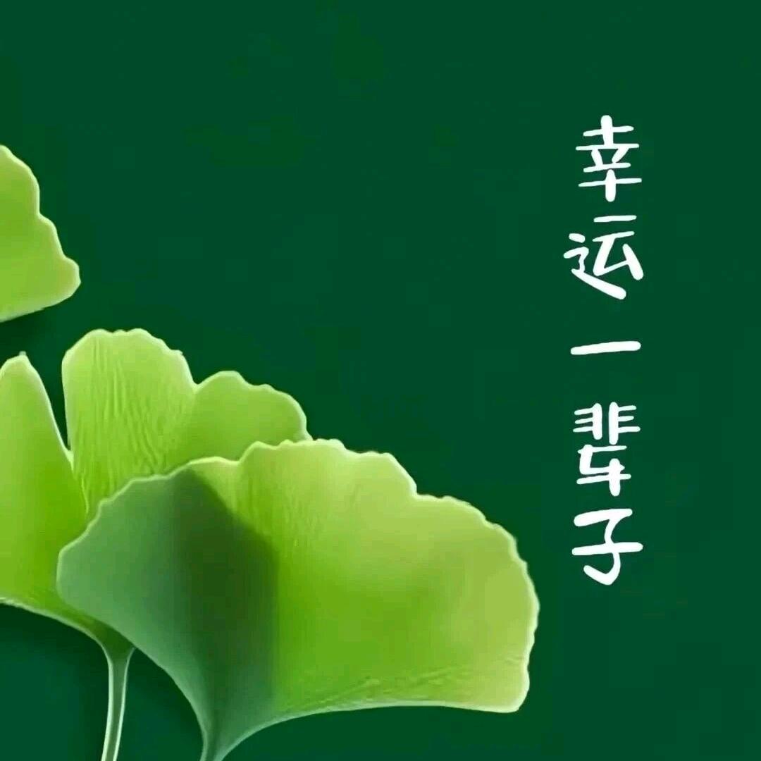 彩笔生辉🍀