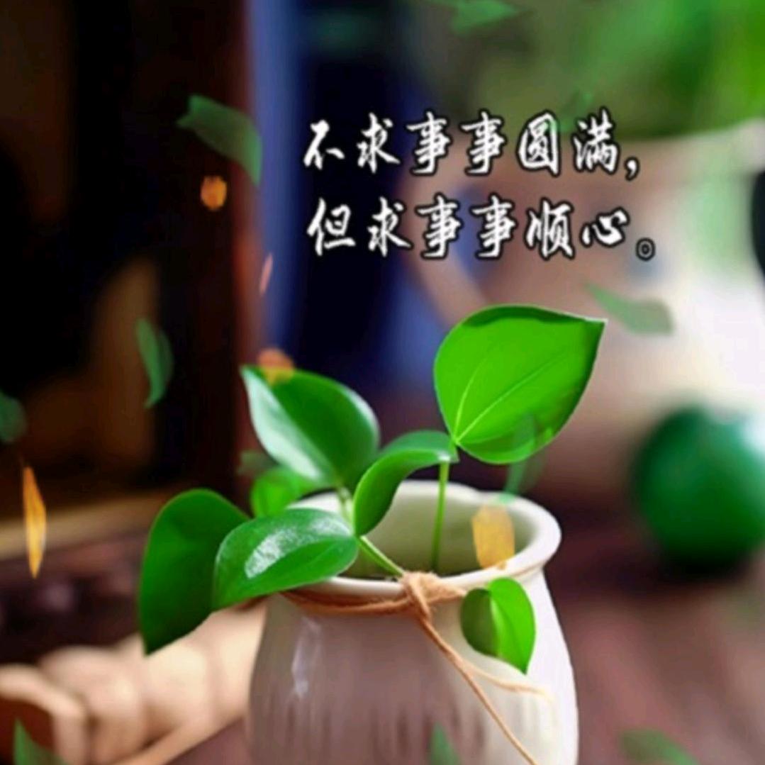 薛家彬优品小铺