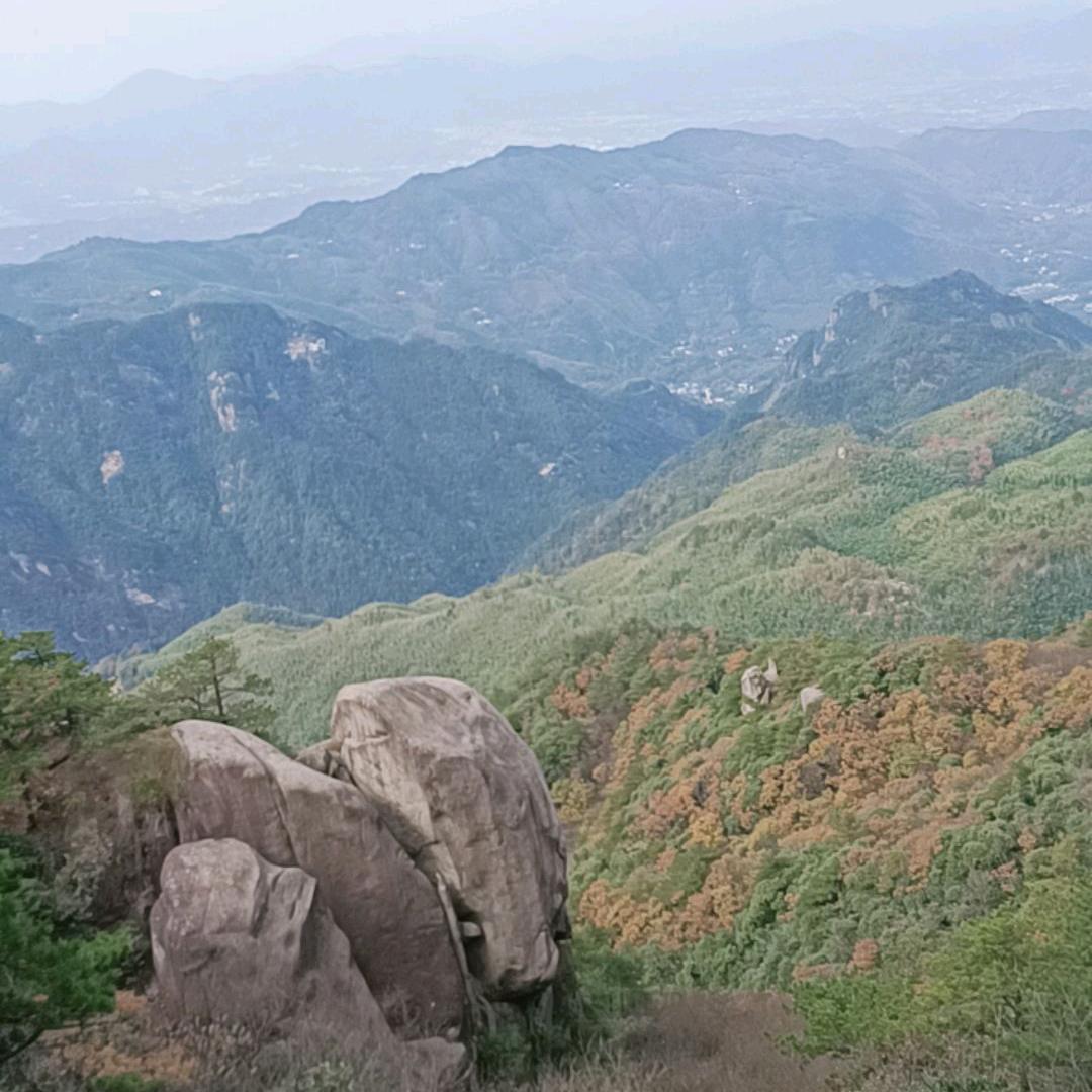 陈家小姐姐