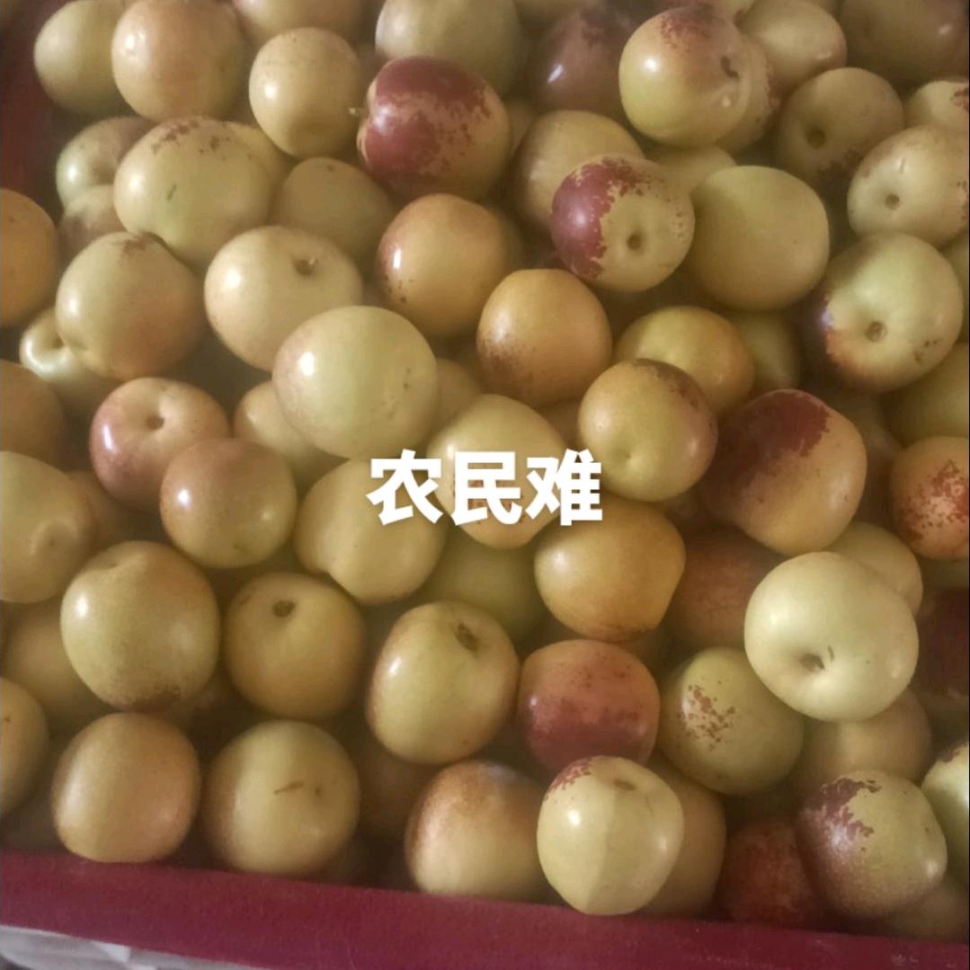 天天好心情，