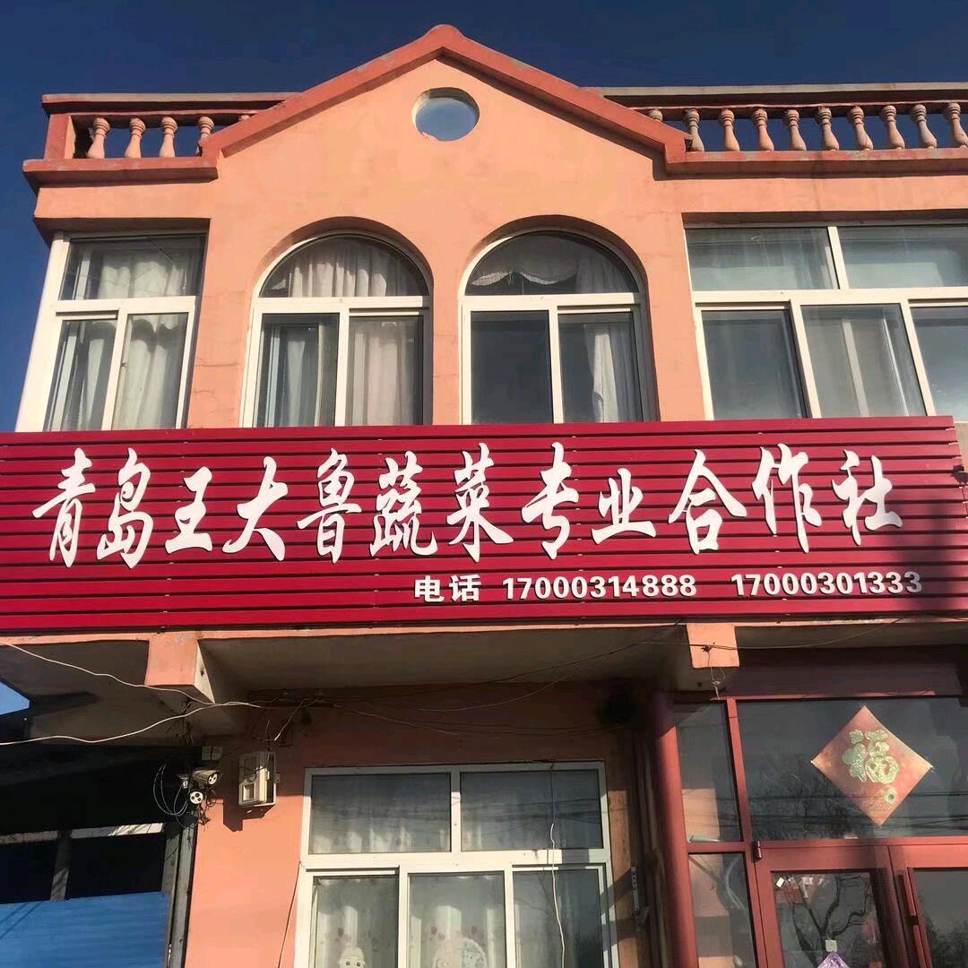 大头菜扛霸子