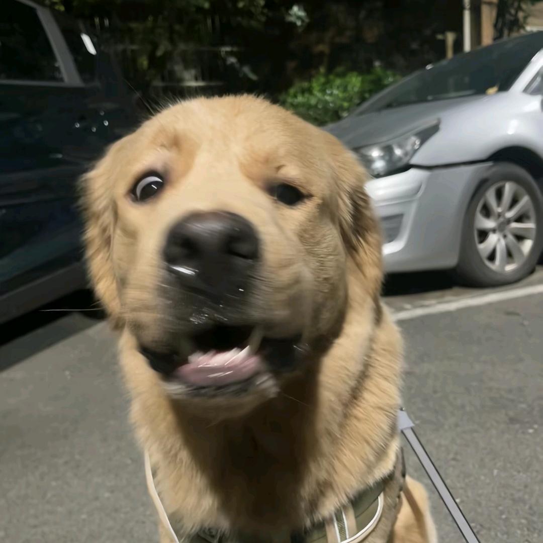 有回响的山谷.
