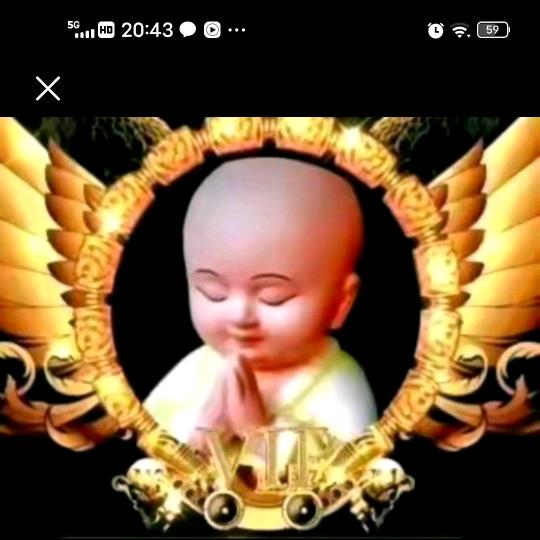 光头哥