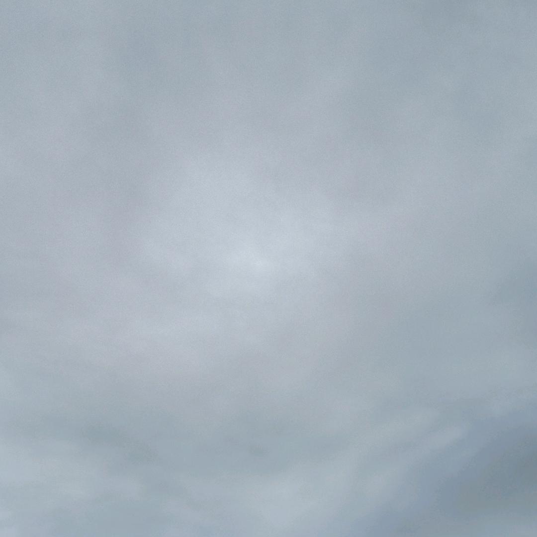 六哥