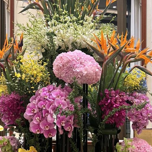 小香菇母婴甄选