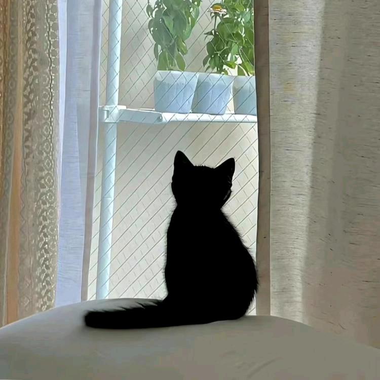 .￴ㅤ￴￴ ￴￴