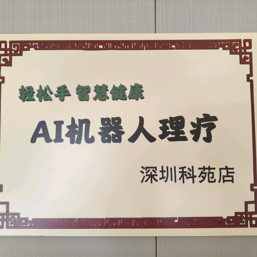 轻松手   Ai机器人   武道