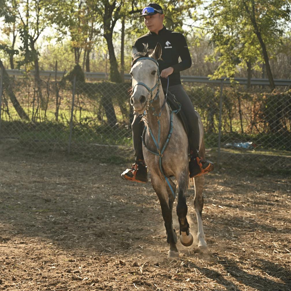 清河马汇官方号