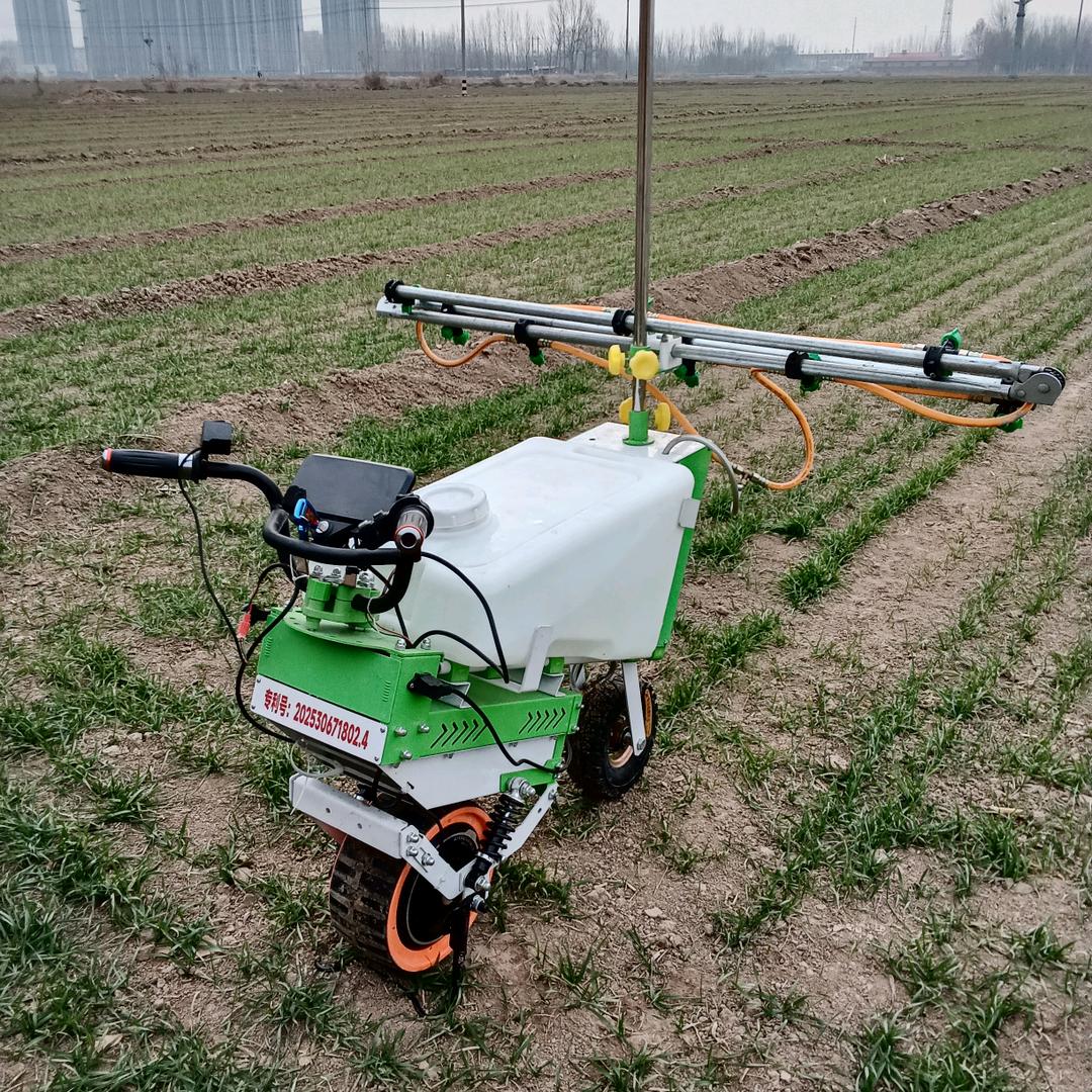 卖农机的大姐姐