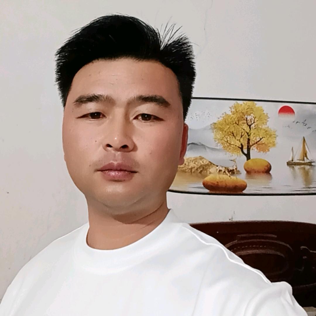 孤单一起高飞
