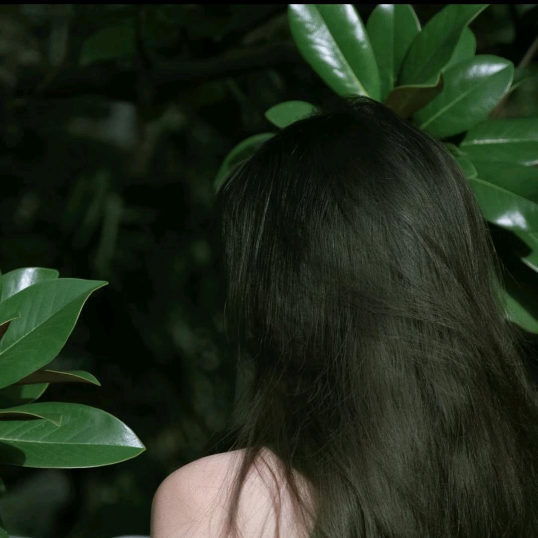 花不榭🌸