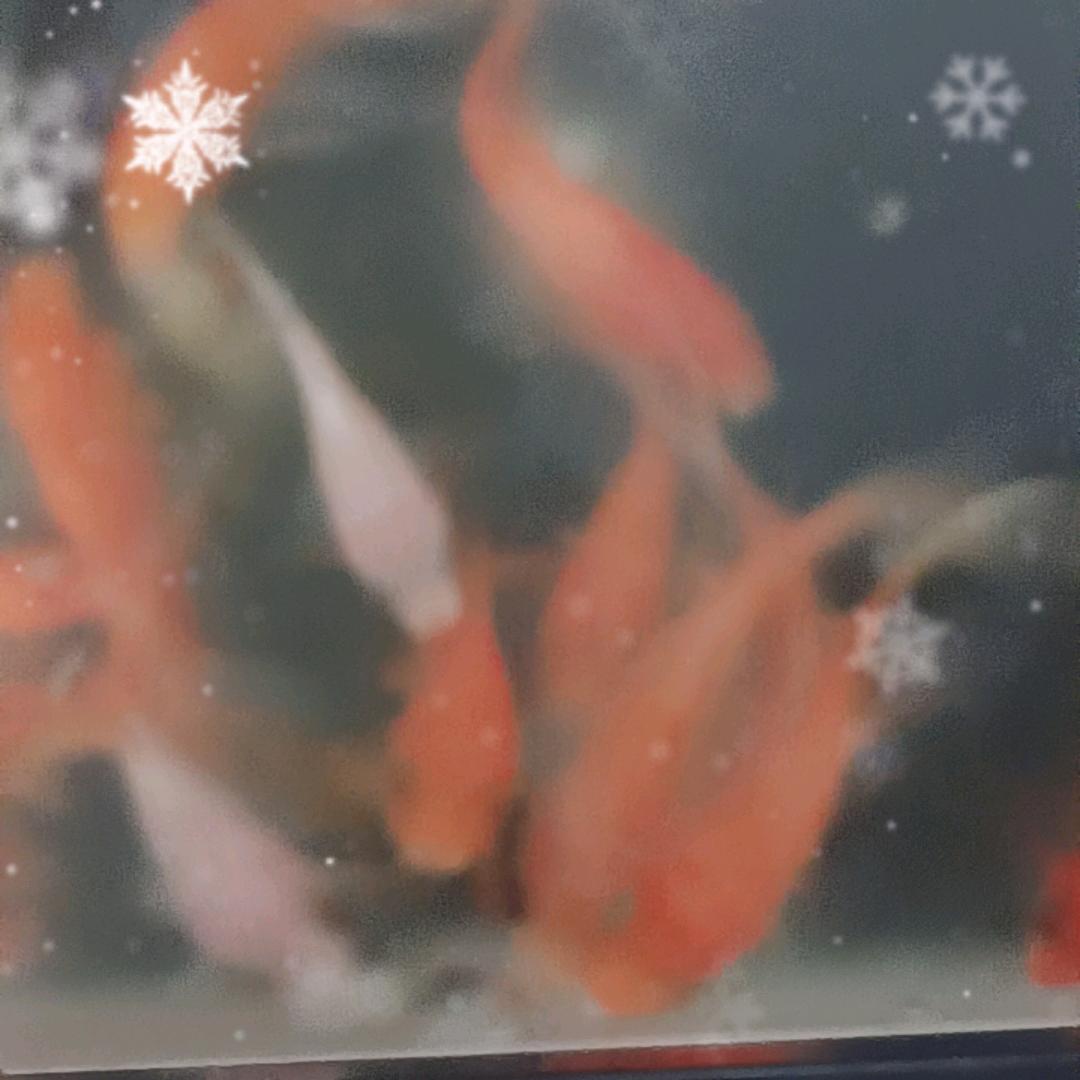 博远未来