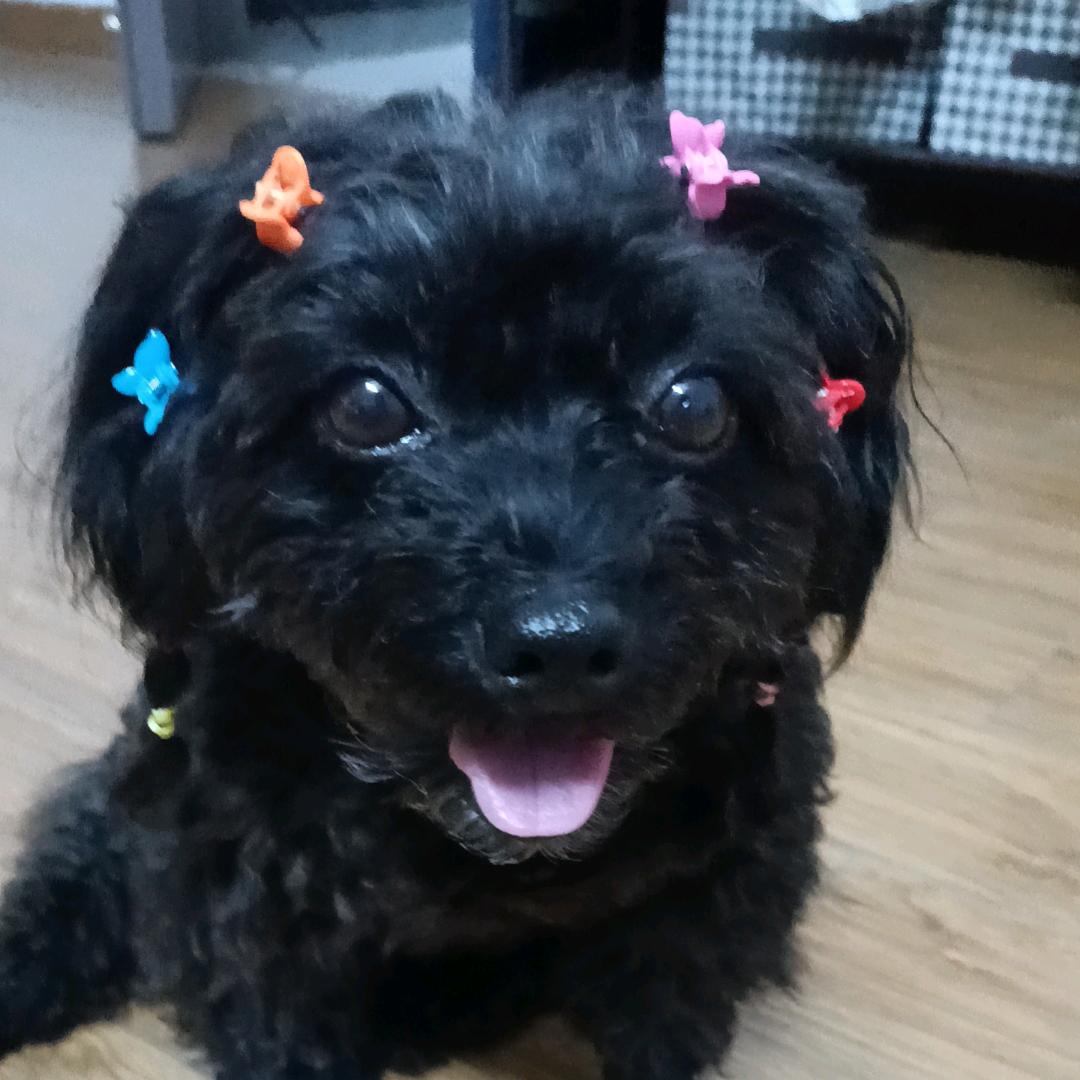 LUCKy chen
