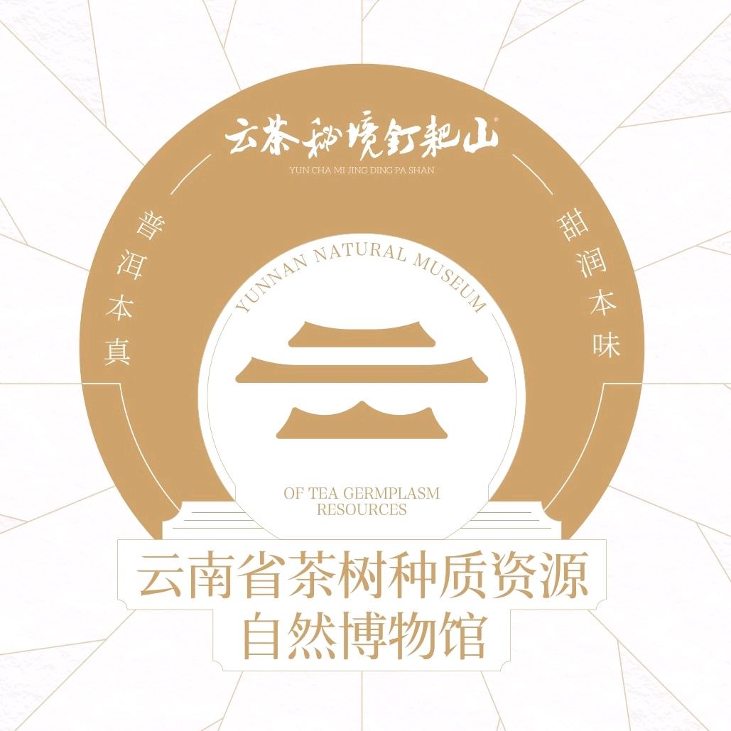 云茶秘境钉耙山