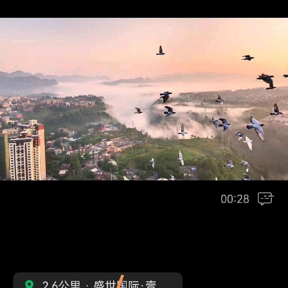 封锁记忆
