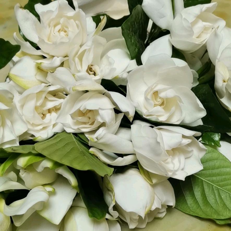 💗余生＆爱💕自己💕