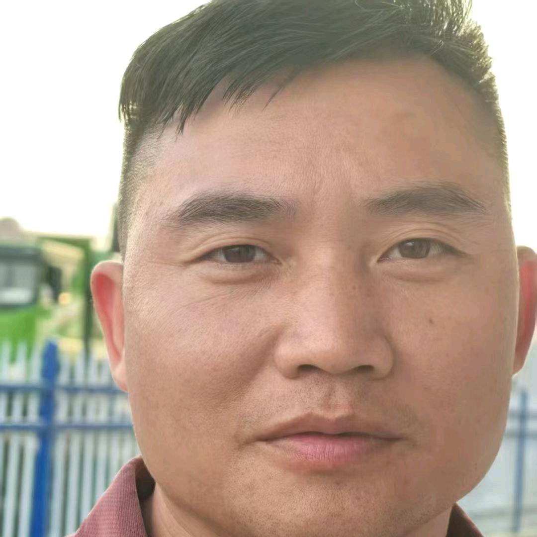 老虎🐯