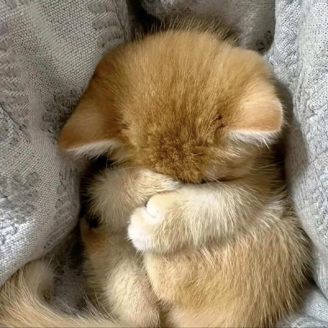 戴上眼镜看东西会变得清晰