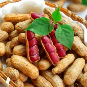 米乐花生（工厂店）