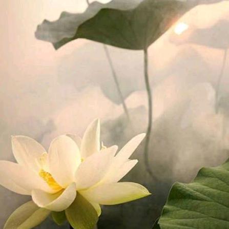 依一♒
