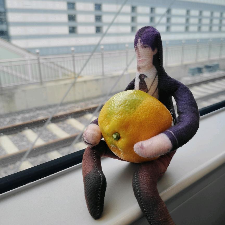 ⁺✞ʚ鹄羹重度依赖ɞ✟₊