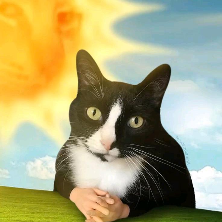 每天直播走出玉玉